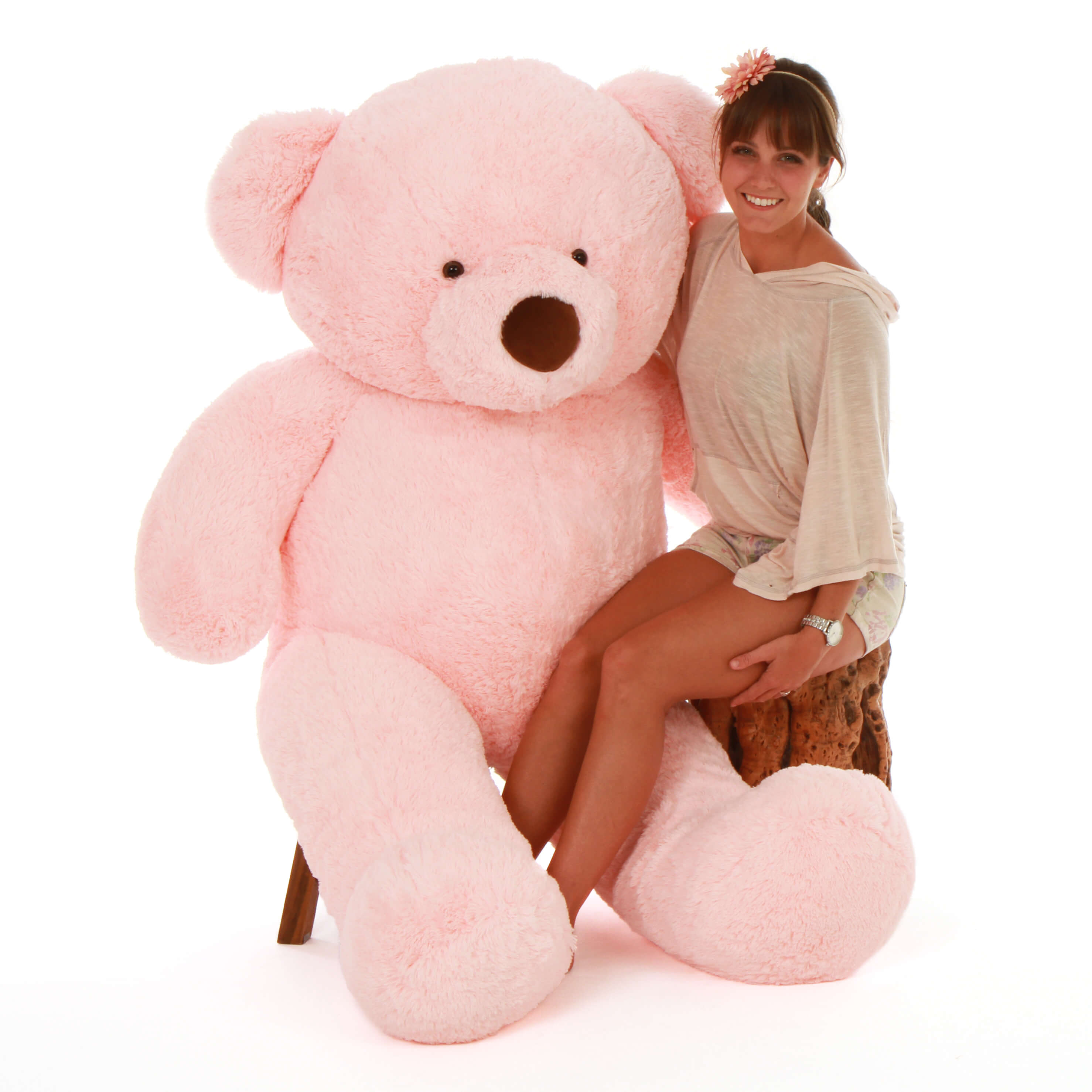 biography of life size teddy