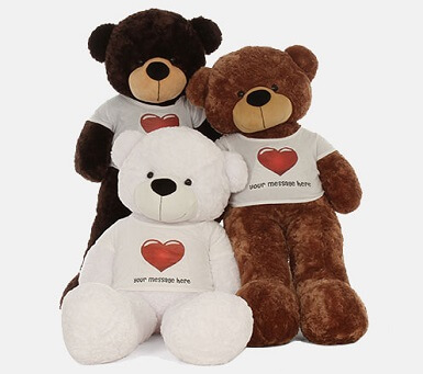 cute teddy online shopping